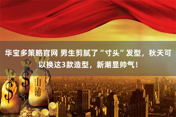 华宝多策略官网 男生剪腻了“寸头”发型，秋天可以换这3款造型，新潮显帅气！