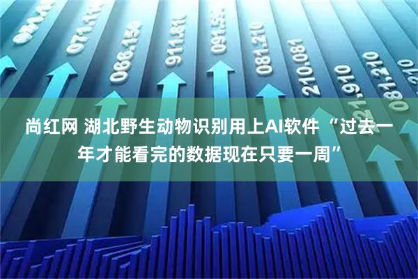 尚红网 湖北野生动物识别用上AI软件 “过去一年才能看完的数据现在只要一周”